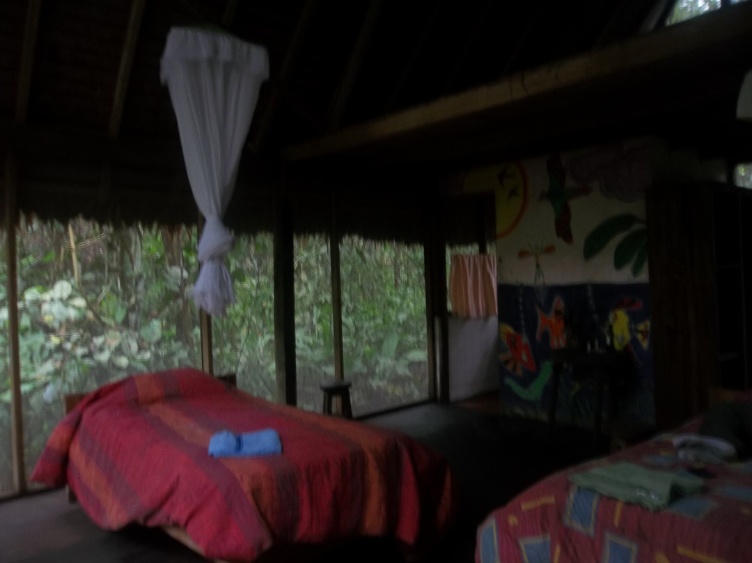 Camping Madidi Tours - Private Day Tours-Madidi National Park必去景点