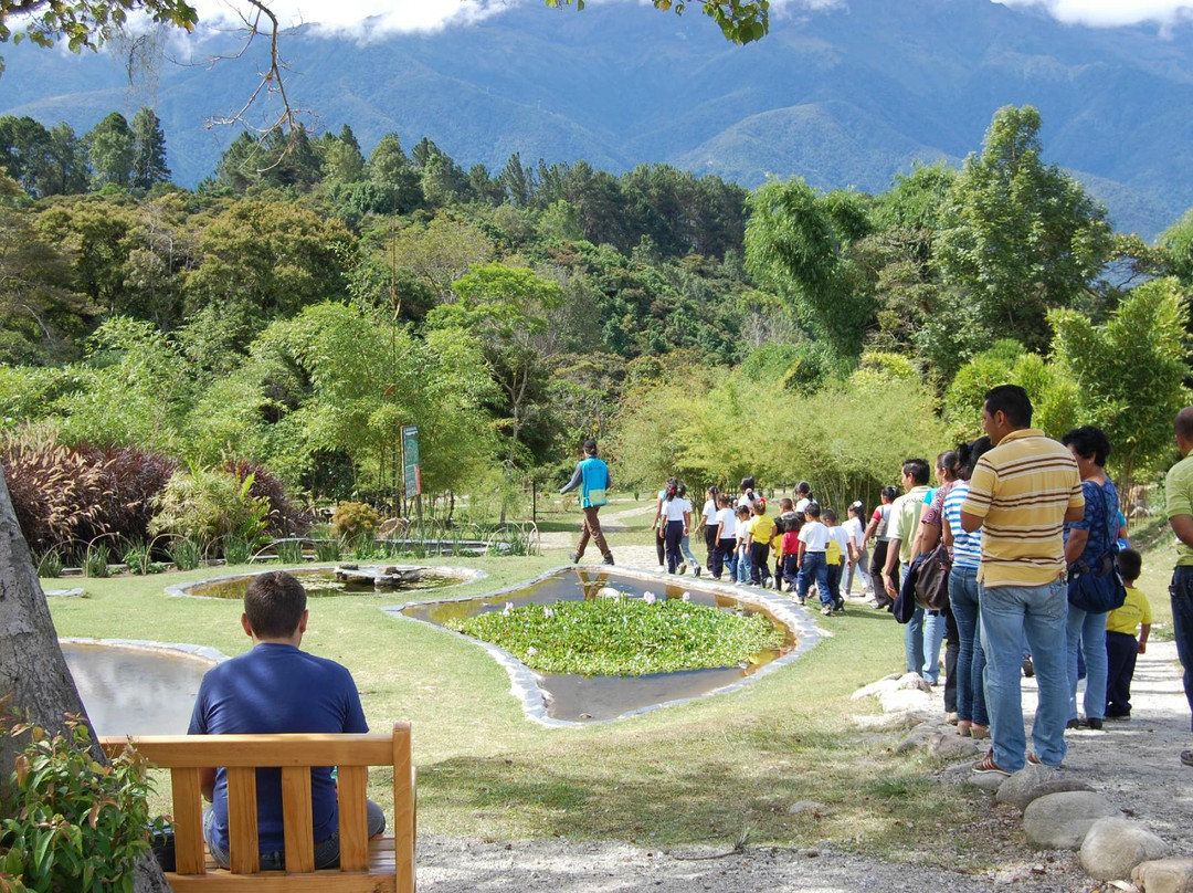 Jardin Botanico de Merida-梅里达市必去景点