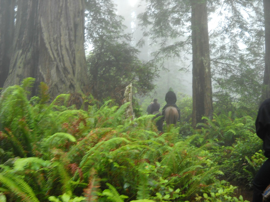 Redwood Creek Buckarettes-Orick必去景点