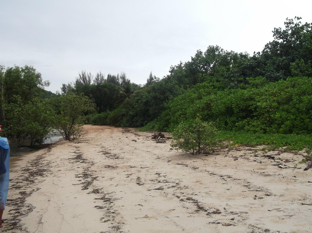 全地形车之旅-普吉镇必去景点