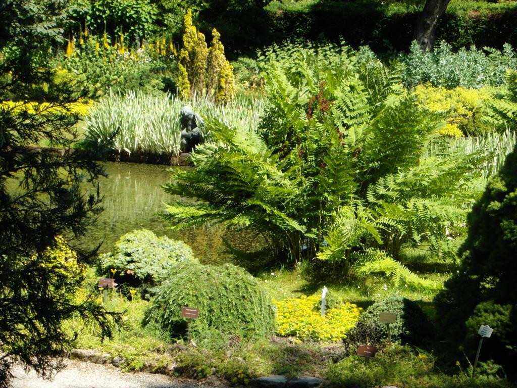 Trompenburg Gardens & Arboretum景点图片