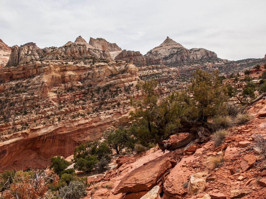 Cassidy Arch-圆顶礁国家公园必去景点