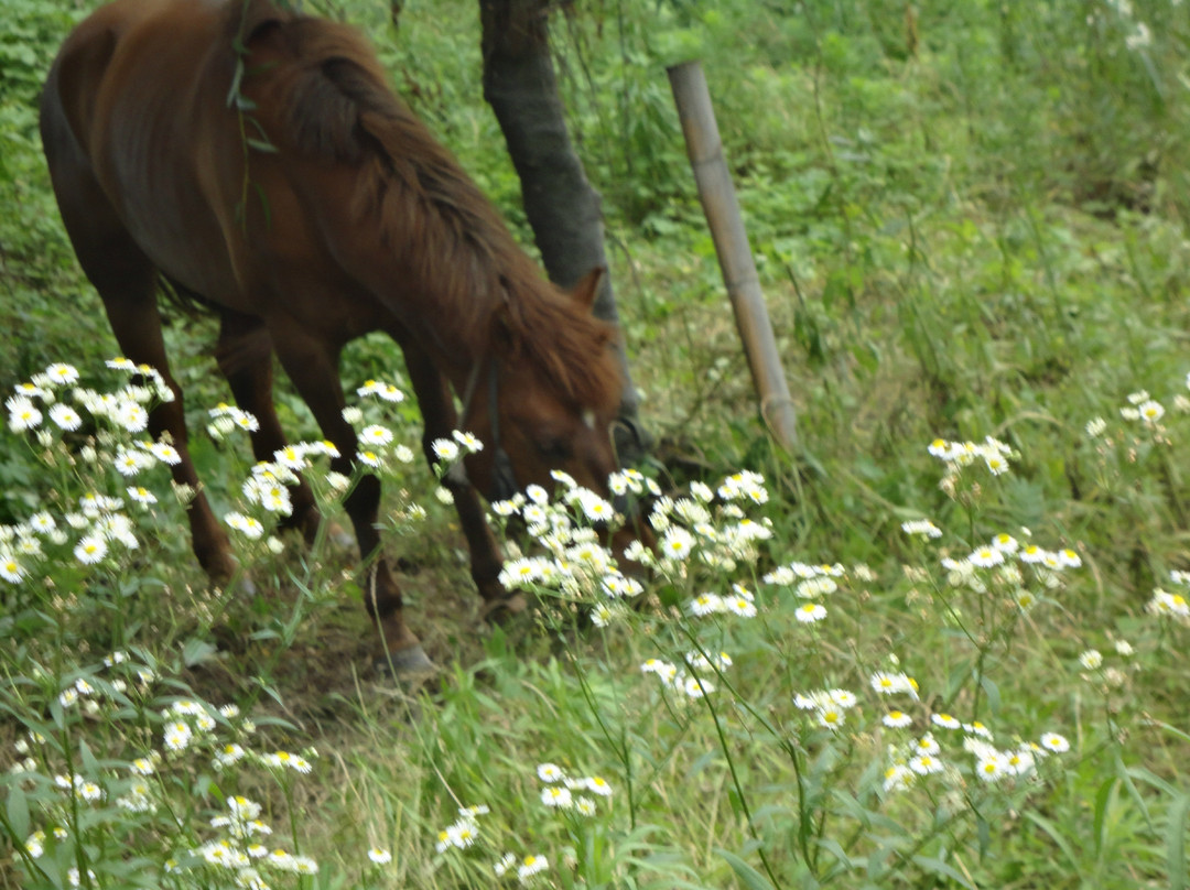 杭州新沙岛-富阳市必去景点