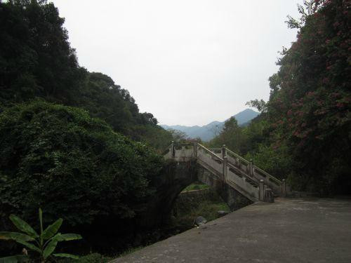 桂山原始森林景点图片
