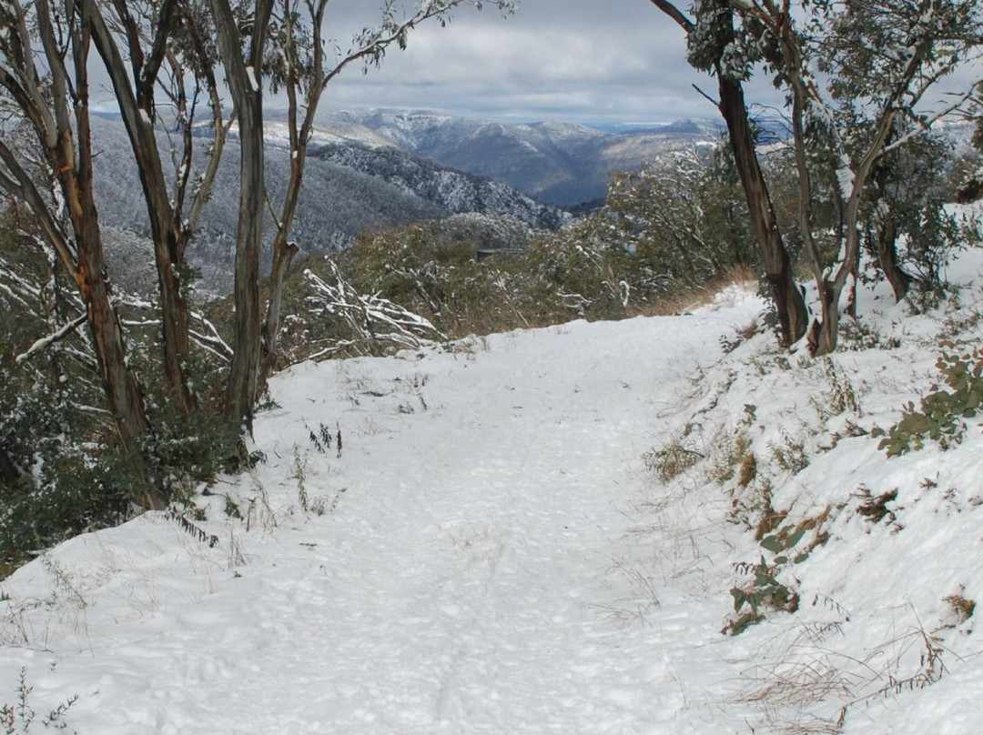 Ducks & Drakes-Mount Buller必去景点