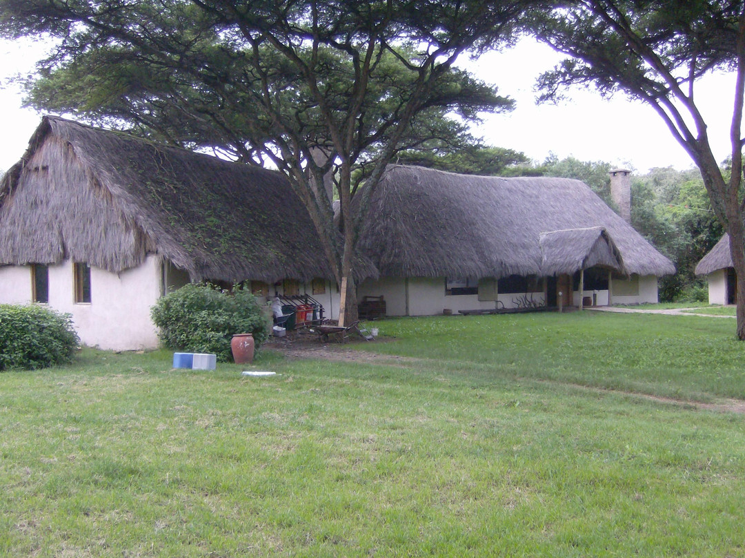 Kigio Wildlife Camp