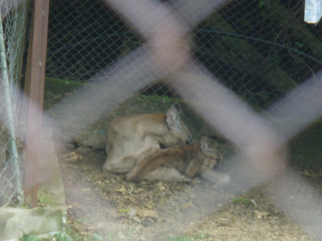 La Estacion de Cria de Fauna-Piriapolis必去景点