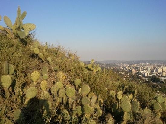 鲁尼恩峡谷公园-洛杉矶必去景点
