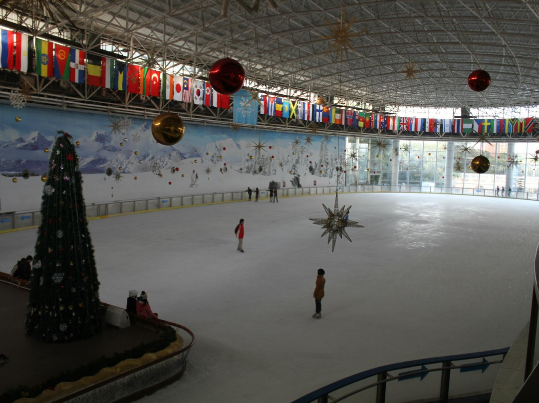 阿尔卑斯冰雪世界-深圳市必去景点