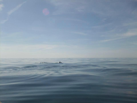 Black Runner-阿尔布赞拉必去景点