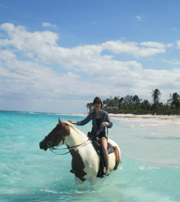 Oceanview Farm-Governor's Harbour必去景点