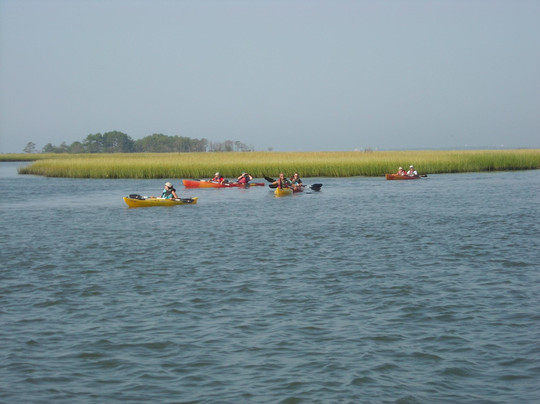 Old Town Canoe and Kayak Assateague Island Tours-钦科蒂格岛必去景点