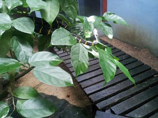 蝴蝶山庄-爱极乐必去景点