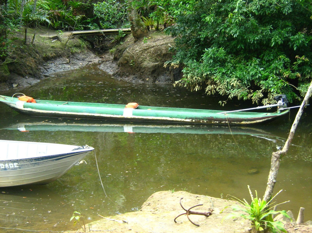 Cachoeira do Rio do Engenho ( Cachoeira do Cleandro )-Itacare必去景点
