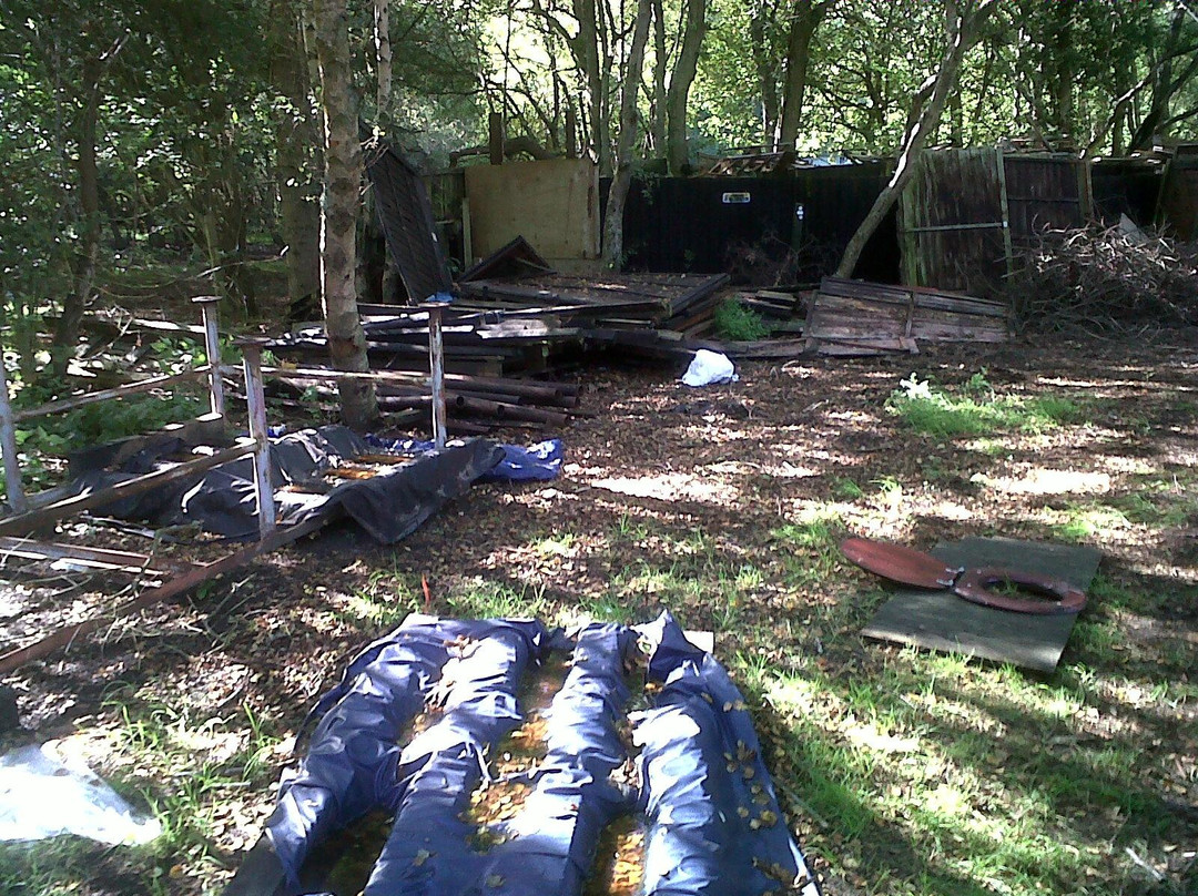 Luckford Wood House主图