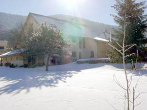 La Souris Verte主图