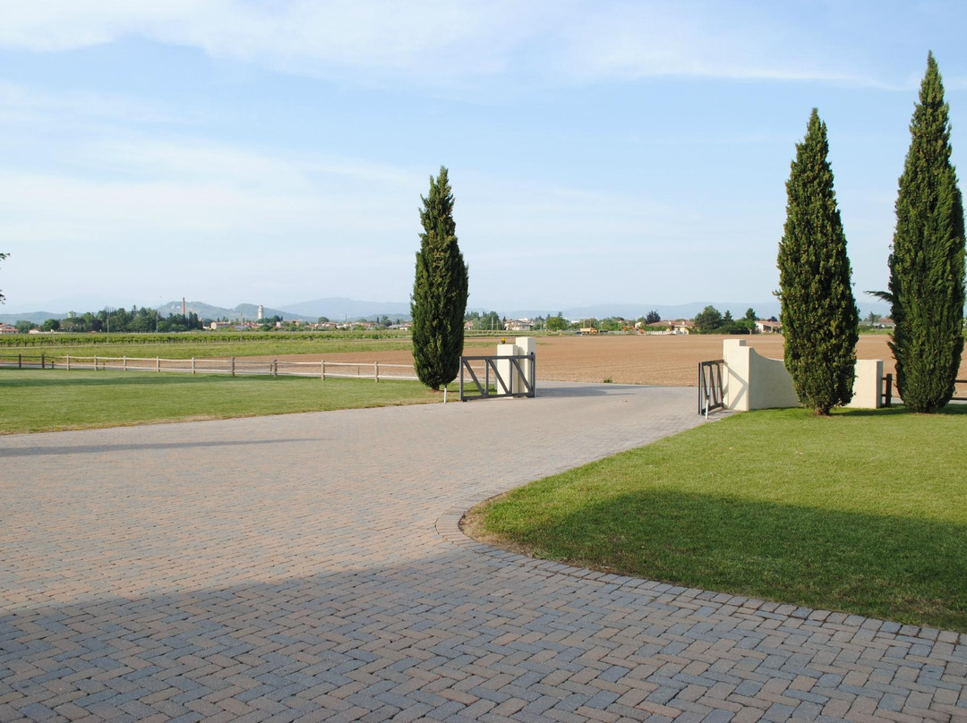 Azienda Agricola Vie di Romans景点图片