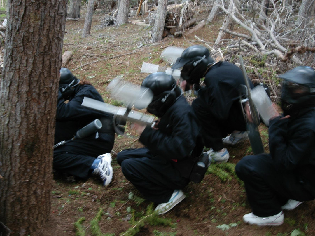 Bedlam Paintball Edinburgh景点图片