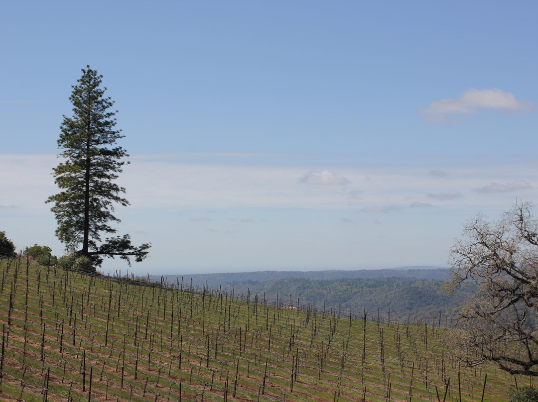 Mount Aukum Winery-Somerset必去景点