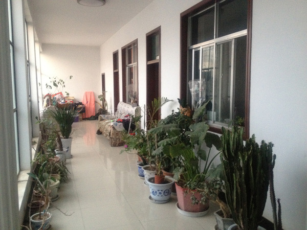 孝仁居农家客栈主图