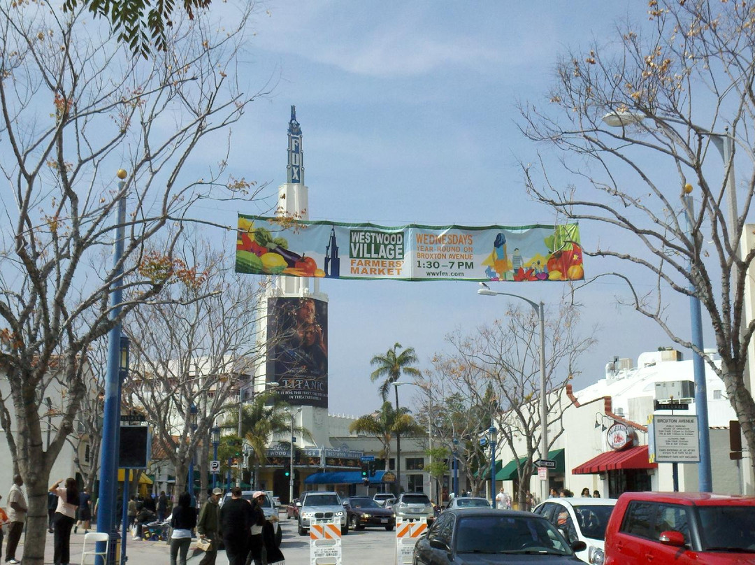 加州大学洛杉矶分校-洛杉矶必去景点