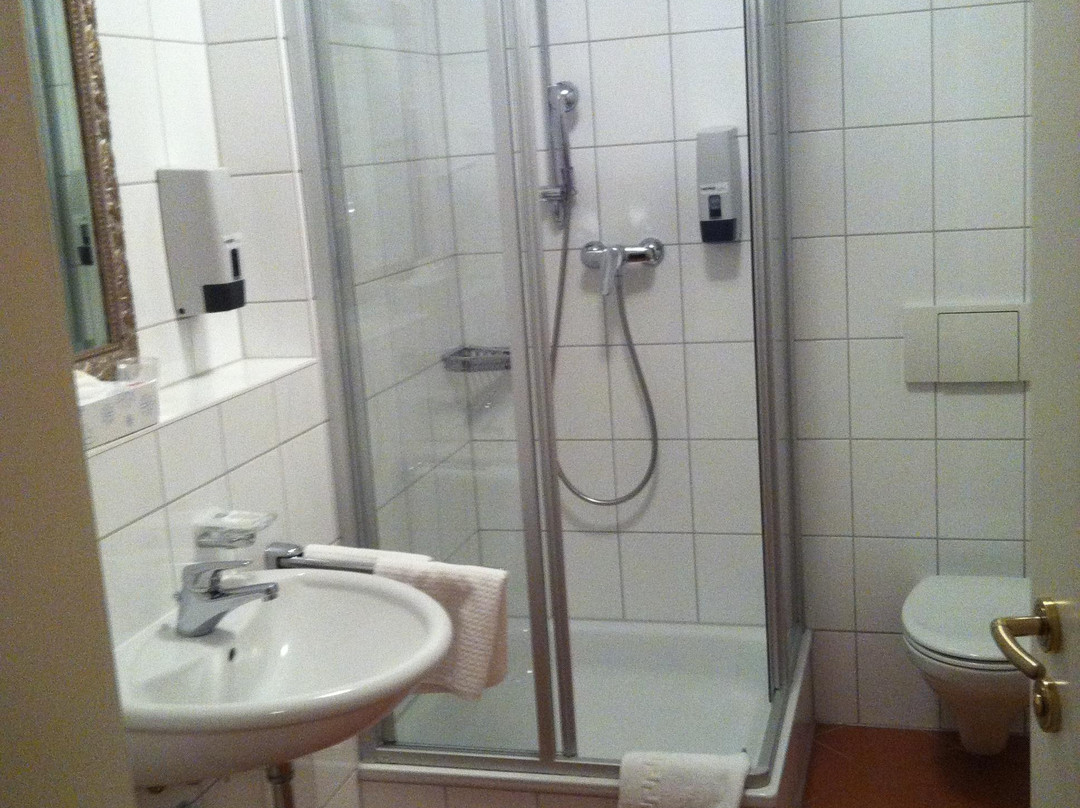 阿尔特帕斯特酒店主图