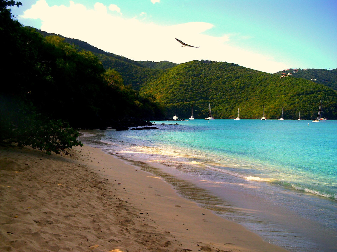 Francis Bay-圣约翰必去景点