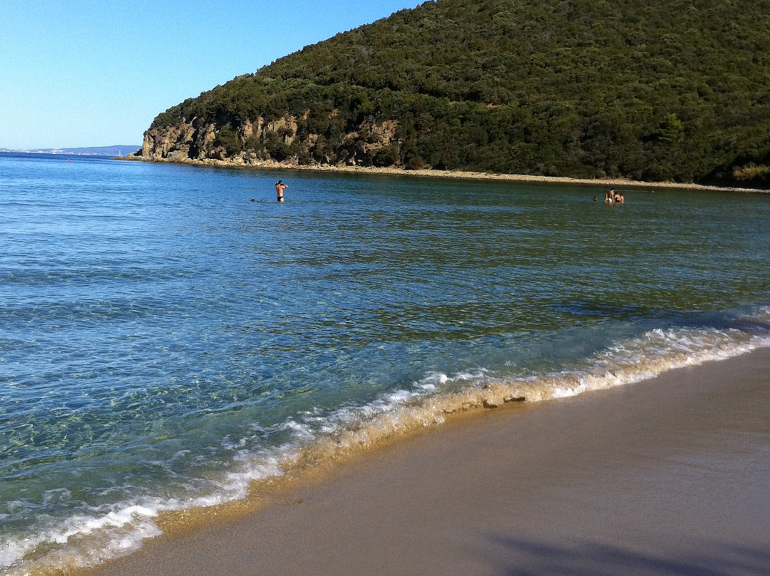 Cala Violina景点图片