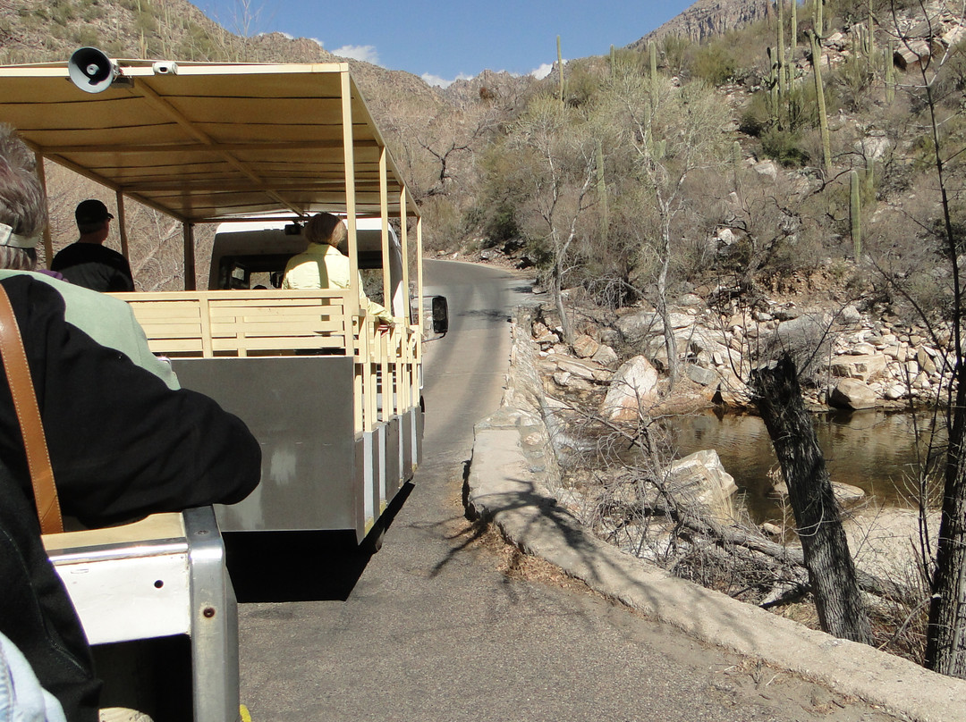 萨比诺峡谷-图森必去景点