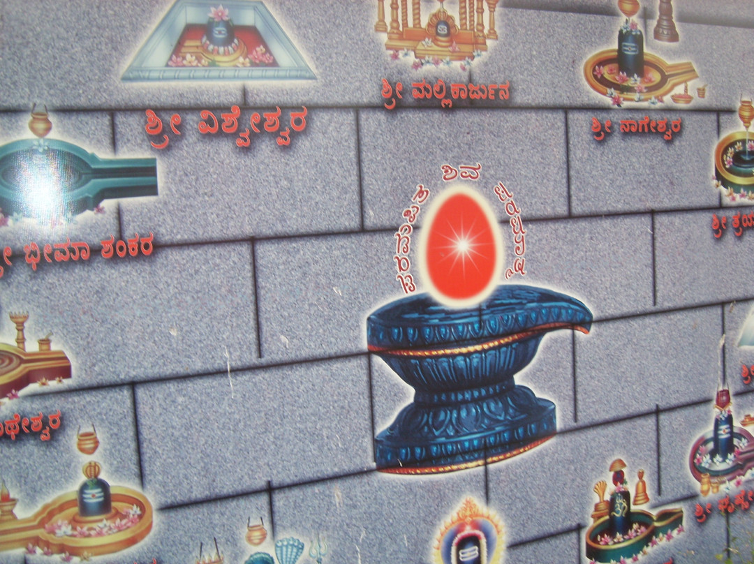 Raja Yoga & Meditation Centre景点图片