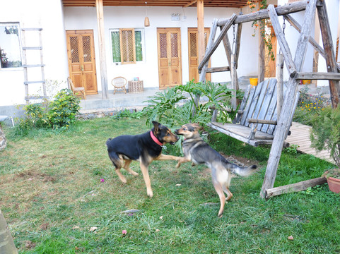 沧海一粟客栈主图