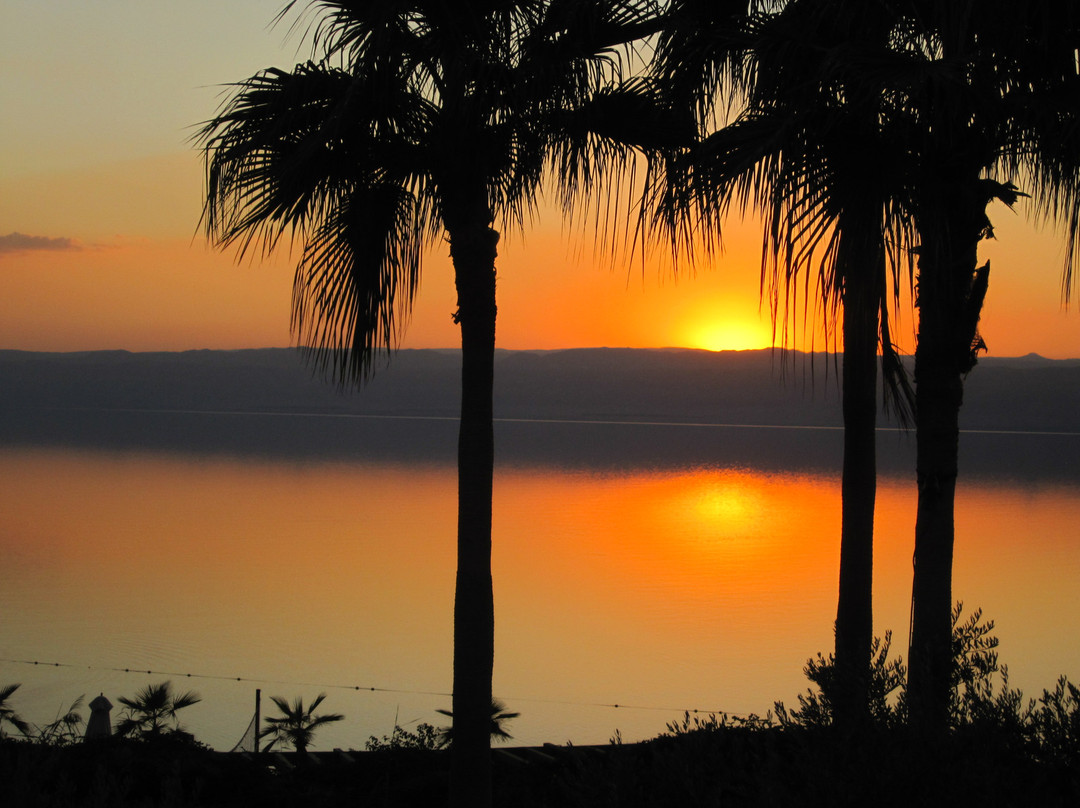 Jordan Direct Tours-安曼必去景点