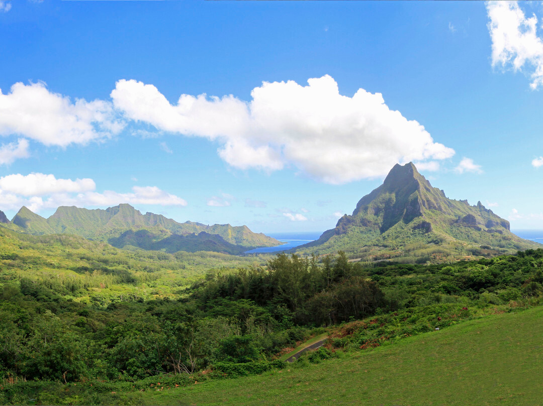 贝尔维德观景台-莫雷阿岛必去景点