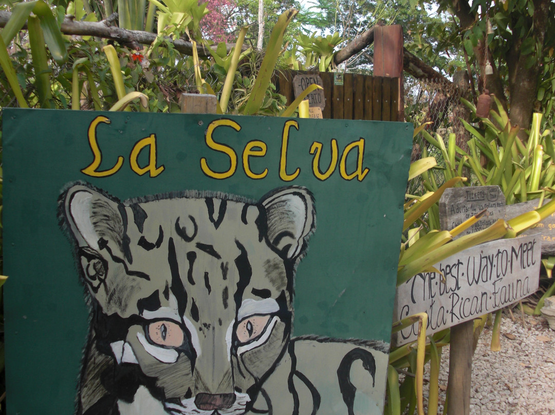 La Selva Wildlife Refuge景点图片