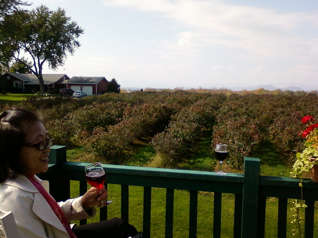 Charlotte Village Winery-Charlotte必去景点