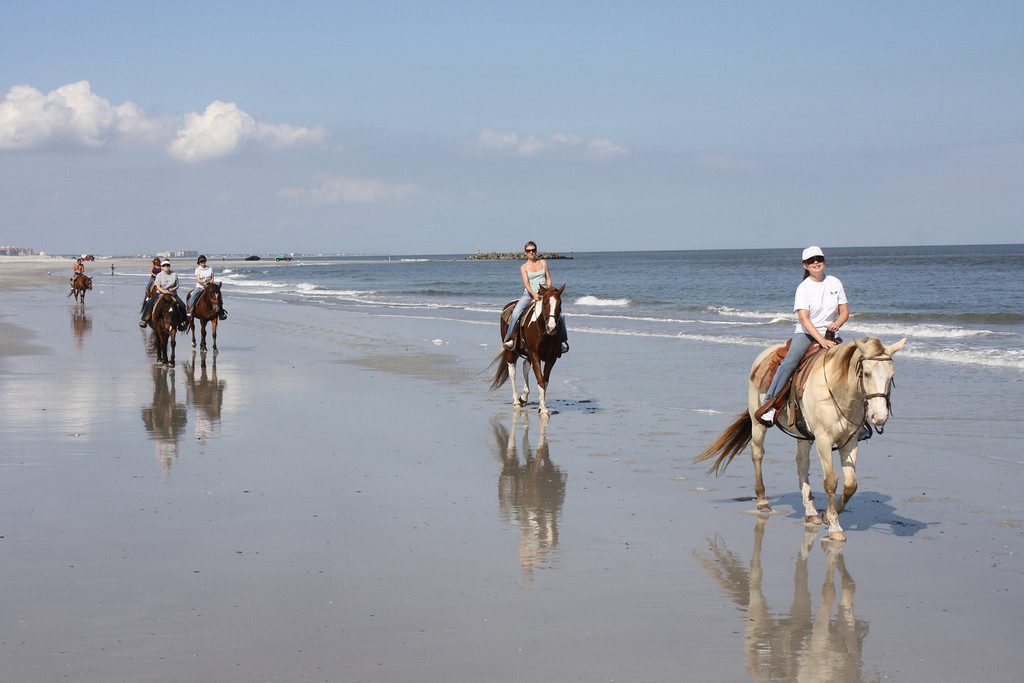 Kelly Seahorse Ranch-阿米莉亚岛必去景点