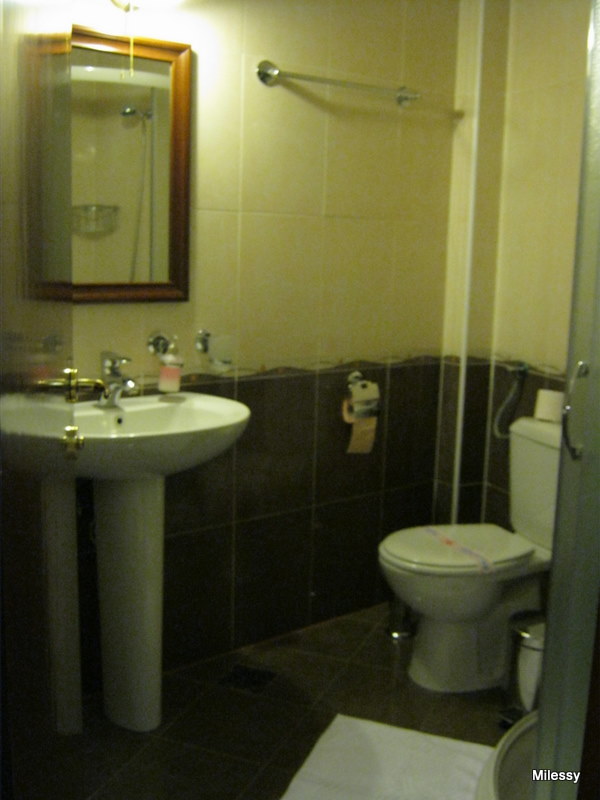 Garni Hotel Andric-浴室