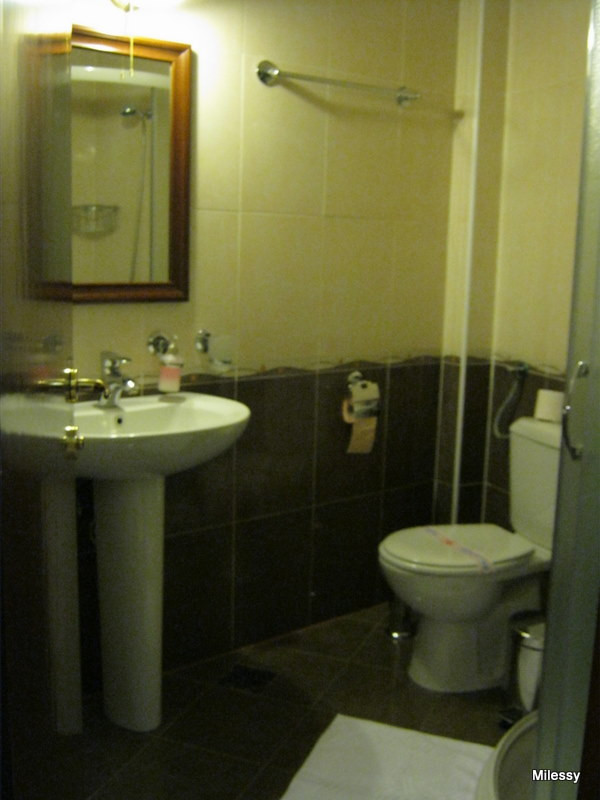 Garni Hotel Andric主图