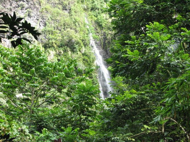 Cascade de Fautaua景点图片
