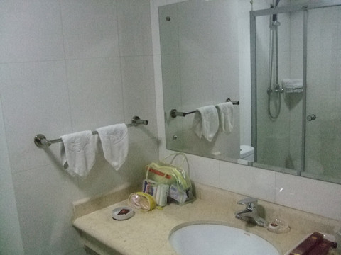 宏泰大酒店主图