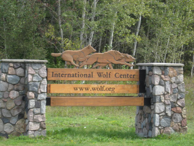 International Wolf Center-伊利必去景点