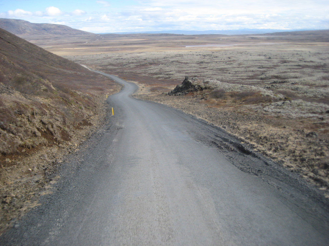 BusTravel Iceland-雷克雅未克必去景点