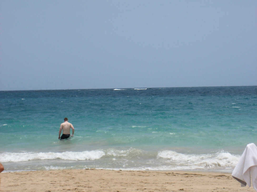 Playa Ocean Park景点图片