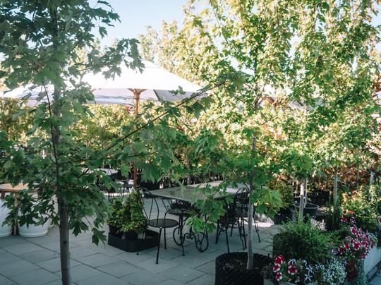 Valerie's Sunroom Cafe