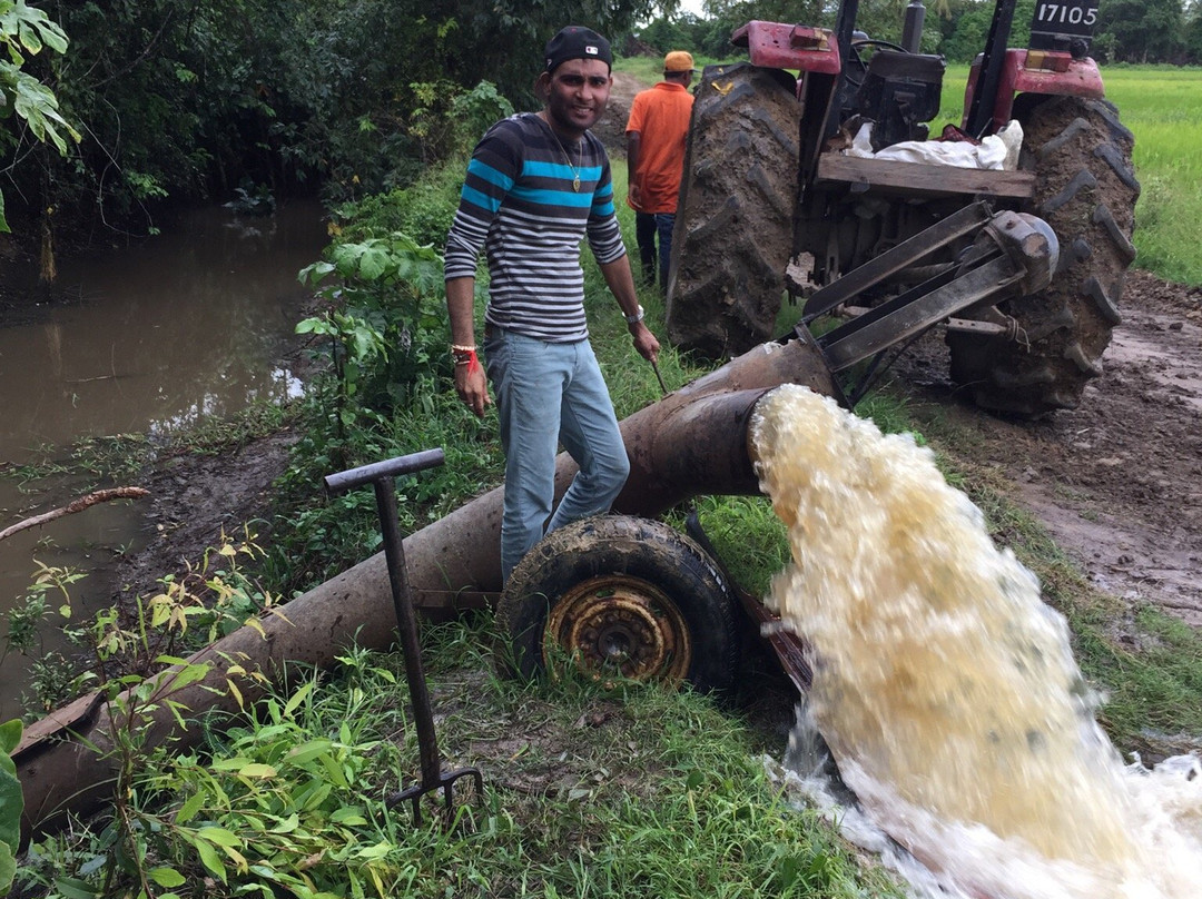 New Amsterdam酒店住宿-Riverton Suites