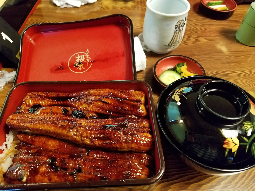 川魚根本