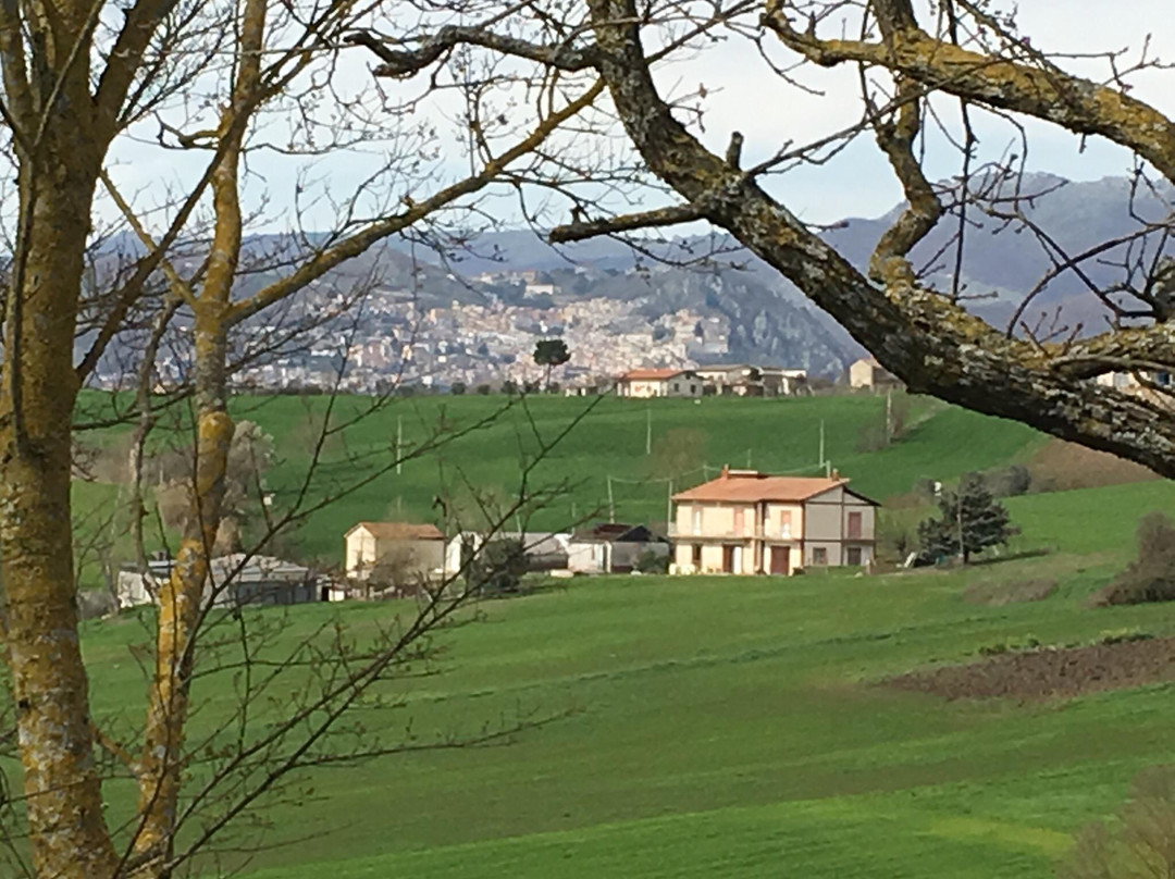 Baragiano餐馆和美食-AGRITURISMO ZARITA
