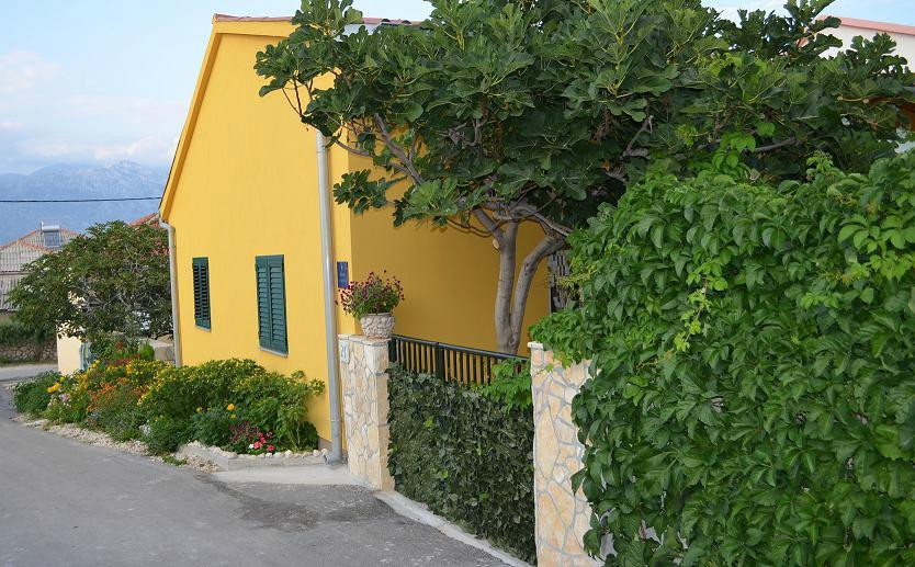 Apartments Negro