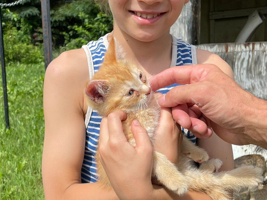 La Mini Ferme Du Boisé-Saint-Tite必去景点