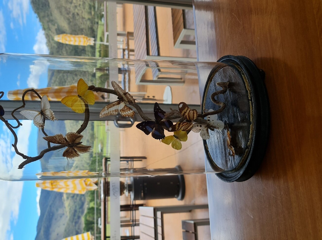 Logan Wines-Apple Tree Flat必去景点